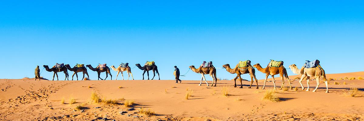 MOROCCO: Deluxe Moroccan Odyssey |  10 Days